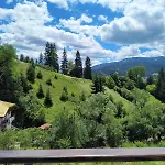 за гости александър * Чепеларе
